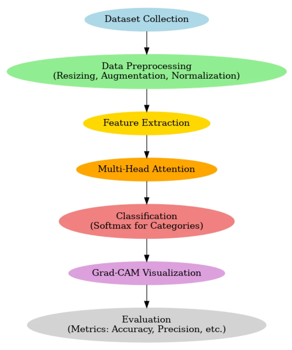 Figure 1. Overall workflow of the MPox skin lesion classification study.